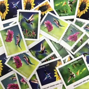 2024 Garden Delights Stamps Forever Stamps