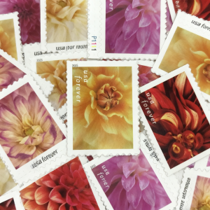 New Dahlias Forever Stamps 2025